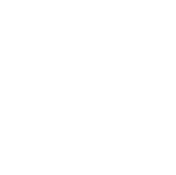 video play